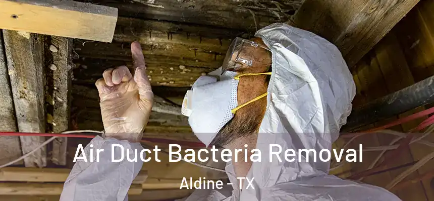  Air Duct Bacteria Removal Aldine - TX