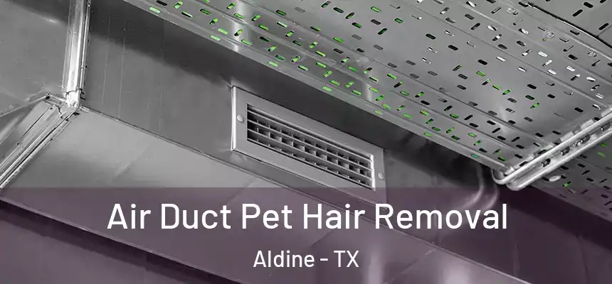  Air Duct Pet Hair Removal Aldine - TX