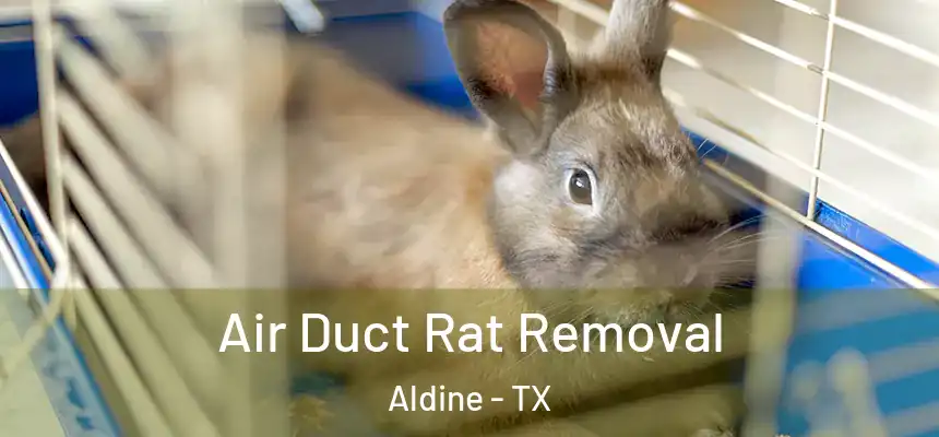  Air Duct Rat Removal Aldine - TX