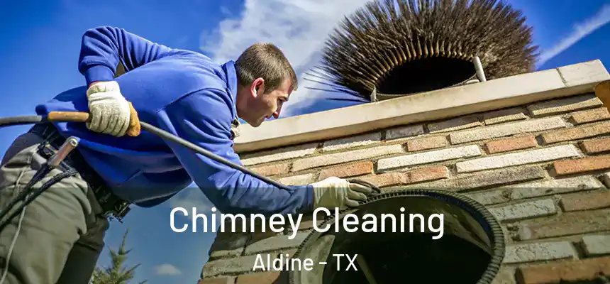  Chimney Cleaning Aldine - TX