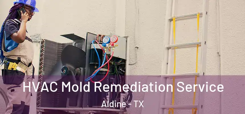  HVAC Mold Remediation Service Aldine - TX
