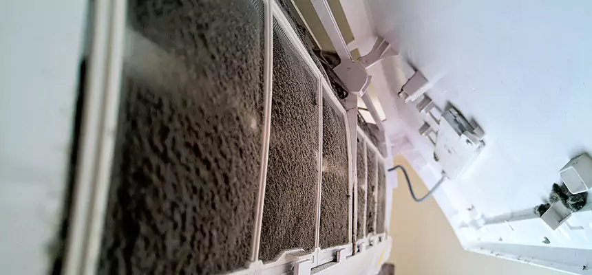 Preventive Air Duct Bacteria Removal in Aldine