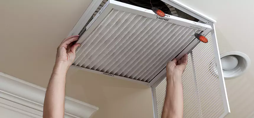 Preventive Cockroach-Proofing for Ducts in Aldine