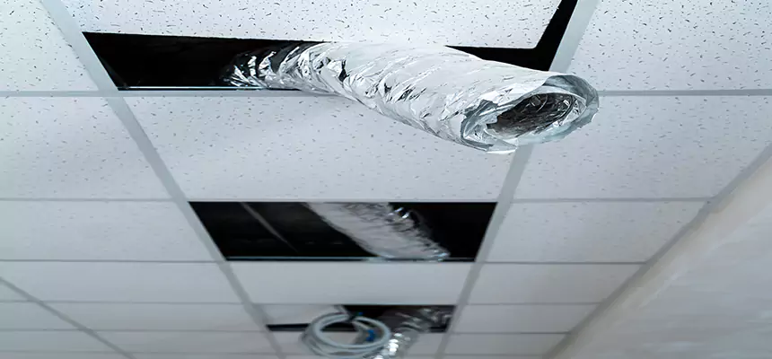 Our Air Duct Pet Hair Removal Services in Aldine, TX