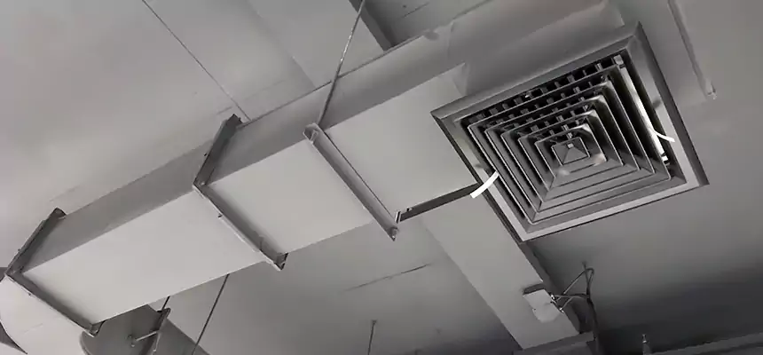 Restorative Allergy Relief Vent Cleaning – Coil, Blower & Housing Detail in Aldine