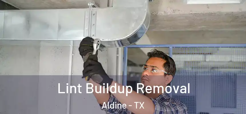  Lint Buildup Removal Aldine - TX