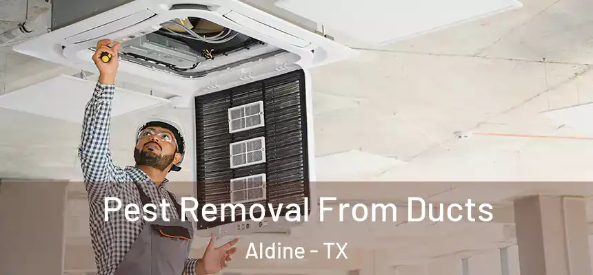  Pest Removal From Ducts Aldine - TX