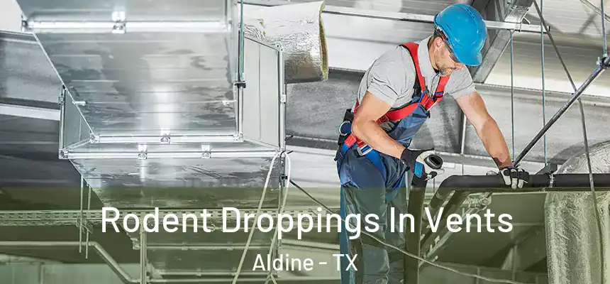  Rodent Droppings In Vents Aldine - TX