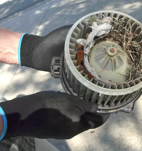 About Air Duct Mice Removal in Aldine, TX