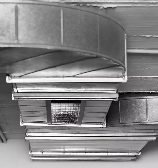 Professional Air Duct Pet Hair Removal in Aldine, TX