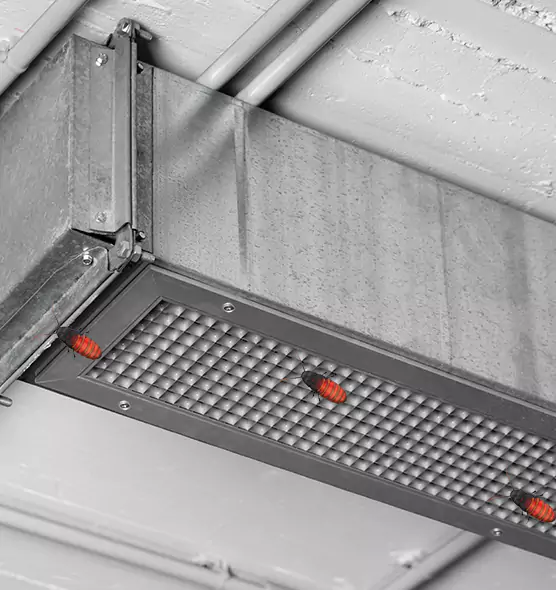 Affordable Insect Removal from Air Ducts in Aldine, TX